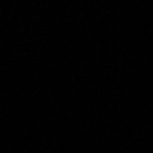 Meet your Posher, Caryn